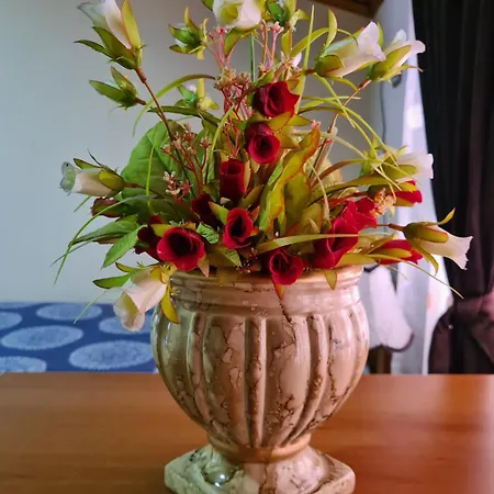 بيت للعطل Tranquility تيرانا